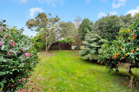 Photo of property in 16 Tatariki Street, Rosehill, Papakura, 2113