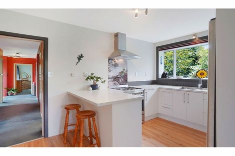 Photo of property in 51 Stanbury Avenue, Somerfield, Christchurch, 8024