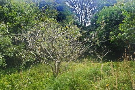 Photo of property in 914 Whakapirau Road, Whakapirau, Maungaturoto, 0583