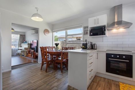 Photo of property in 119 Chichester Drive, Rosehill, Papakura, 2113