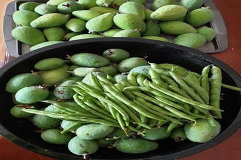 Photo of property in 21 Farmer Road, Waitoa, 3310