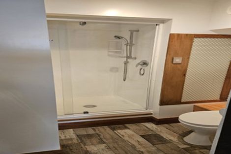 Photo of property in 58 Wilson Street, Newtown, Wellington, 6021