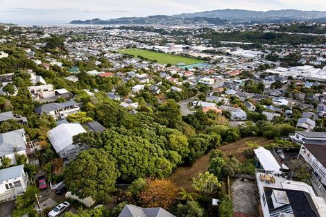 Photo of property in 75 Camperdown Road, Miramar, Wellington, 6022