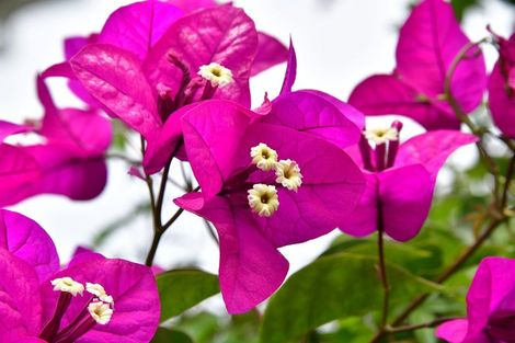 Photo of property in 516 Hibiscus Coast Highway, Hatfields Beach, Orewa, 0931