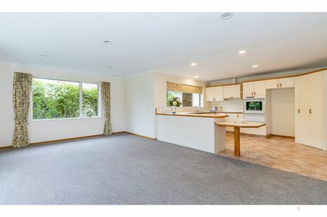 Photo of property in 39a Mckenzie Street, Geraldine, 7930