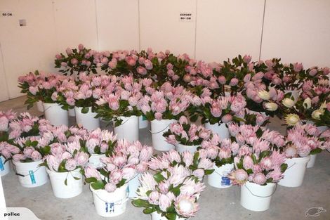 Photo of property in 12 Kaikatia Road, Pukenui, 0484