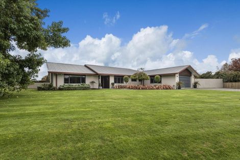 Photo of property in 12 Cowley Drive, Leamington, Cambridge, 3432