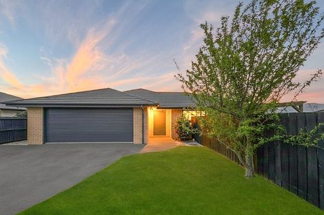 Photo of property in 31 Makawe Roa Street, Marshland, Christchurch, 8083