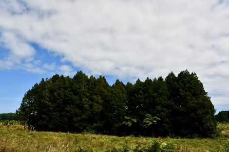 Photo of property in 216 Kongahu Swamp Road, Little Wanganui, Karamea, 7893