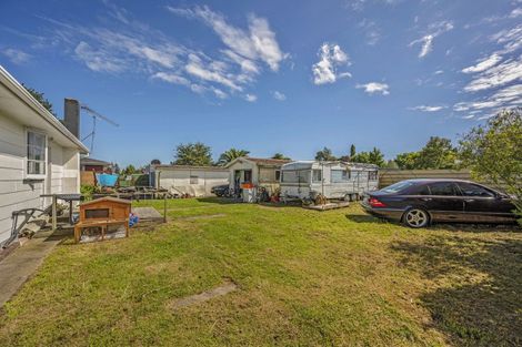 Photo of property in 250 Balmoral Drive, Tokoroa, 3420