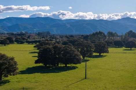 Photo of property in 151 Humphries Street, Woodside, Greytown, 5794