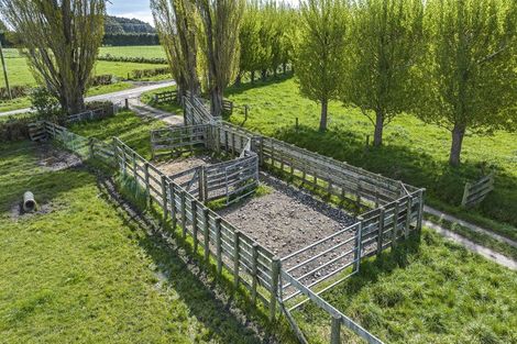 Photo of property in 41 Poplar Lane, Lincoln, Christchurch, 7674