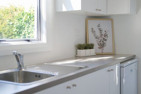 Photo of property in 4 Falcon Street, Roslyn, Dunedin, 9010