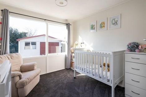 Photo of property in 209 Scott Street, Redwoodtown, Blenheim, 7201