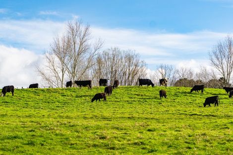 Photo of property in 272 Huarau Road, Whakapirau, Maungaturoto, 0583