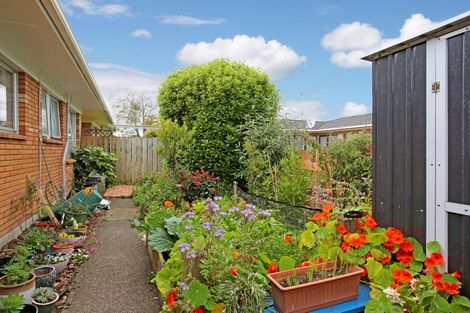 Photo of property in 3/101 Seddon Street, Pukekohe, 2120