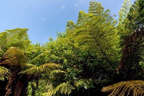 Photo of property in 41a Kauri Street, Ravensbourne, Dunedin, 9022