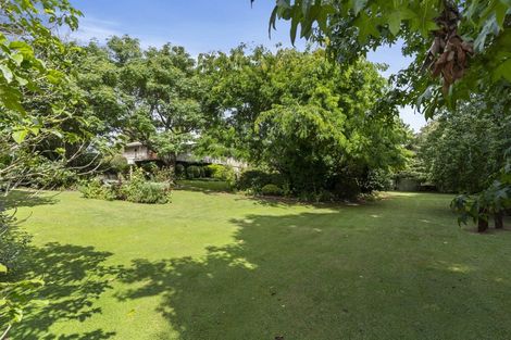 Photo of property in 8 Herbert Drive, Whangamata, 3620
