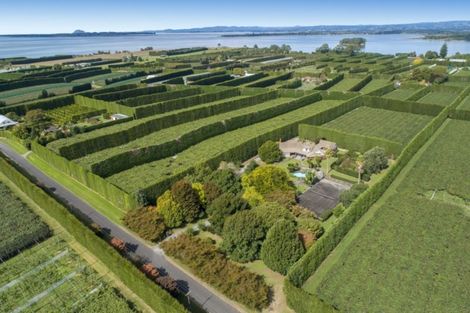 Photo of property in 76 Pukakura Road, Katikati, 3178