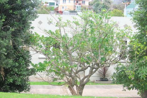 Photo of property in 607 Augustus Street North, Thames, 3500