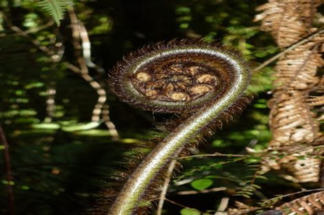 Photo of property in 74 Wangapeka Road, Little Wanganui, Karamea, 7893