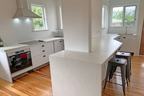 Photo of property in 17 Ihle Street, Terrace End, Palmerston North, 4410