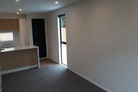 Photo of property in 3/4 Gibbon Street, Sydenham, Christchurch, 8023