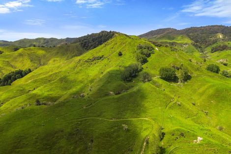 Photo of property in 839 Ruatiti Road, Raetihi, 4696