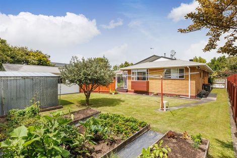 Photo of property in 18 Lane Place, Awapuni, Palmerston North, 4412