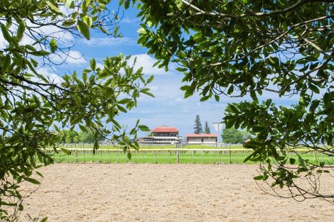 Photo of property in 112 Main Road, Makaraka, Gisborne, 4010