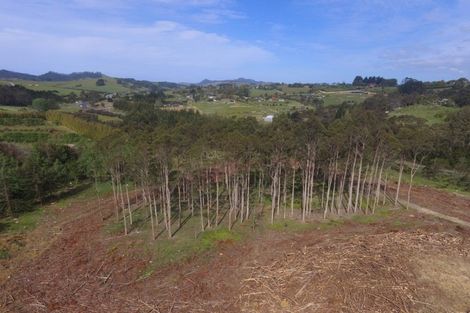Photo of property in 59 Harbour View Rise, Mangonui, 0494