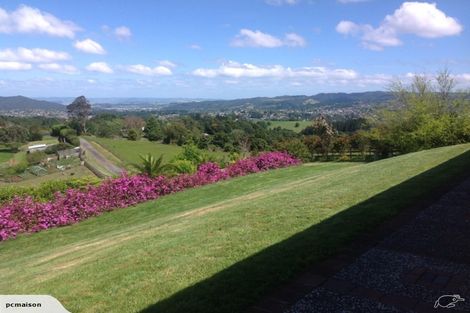 Photo of property in 314 Vinegar Hill Road, Kauri, Kamo, 0185