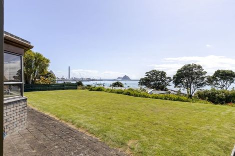 Photo of property in 24b Birdwood Avenue, Moturoa, New Plymouth, 4310