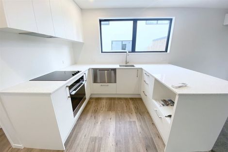 Photo of property in 35b Clarence Street South, Addington, Christchurch, 8024