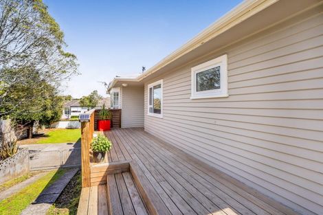 Photo of property in 43 Essex Street, Vogeltown, New Plymouth, 4310