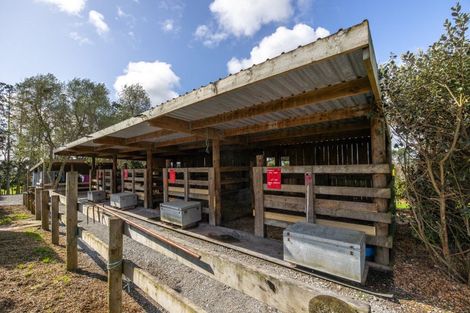 Photo of property in 124 Rimmer Road, Helensville, 0875