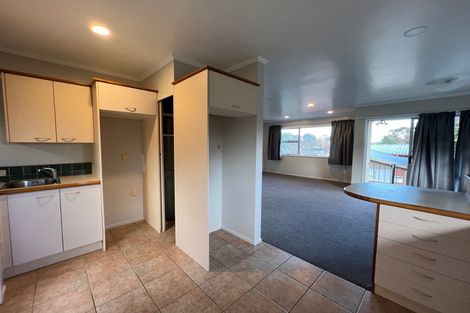 Photo of property in 29 Alison Street, Hamilton Lake, Hamilton, 3204