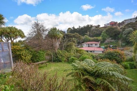 Photo of property in 19 Tower Avenue, Waverley, Dunedin, 9013