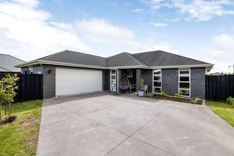 Photo of property in 13 Hehan Close, Cambridge, 3434