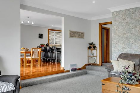 Photo of property in 17 Northfield Avenue, Opoho, Dunedin, 9010