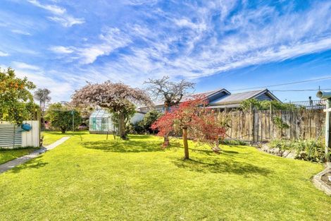 Photo of property in 918 Dufferin Street, Akina, Hastings, 4122