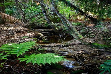 Photo of property in 70 Sunset Heights Road, Karamea, 7893