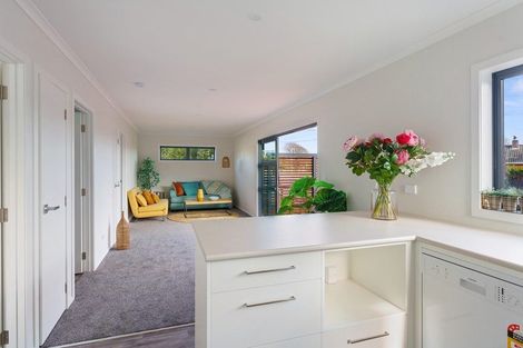 Photo of property in 52c Dunstan Street, Otaki, 5512