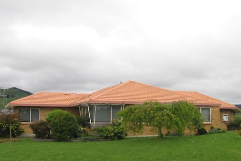 Photo of property in 30 Ohinemuri Place, Paeroa, 3600