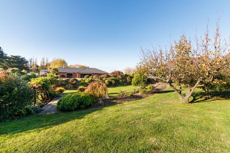 Photo of property in 17 Cemetery Road, Sanson, Palmerston North, 4479