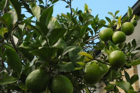 Photo of property in 11 Pegasus Drive, Sunnybrook, Rotorua, 3015