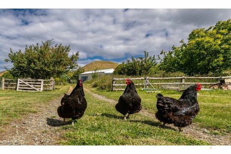Photo of property in 407 Elephant Hill Road, Waihao Downs, Waimate, 7977