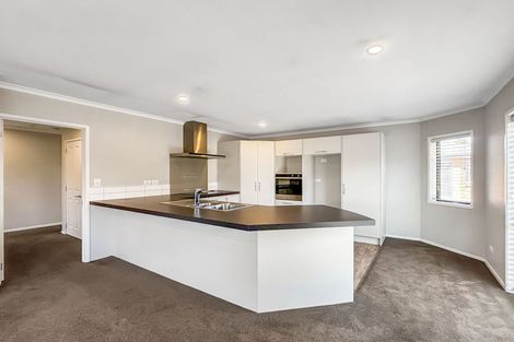 Photo of property in 20 Crohane Place, Addington, Christchurch, 8024