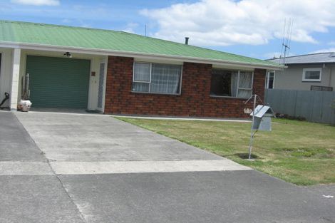 Photo of property in 138a Denbigh Street, Feilding, 4702