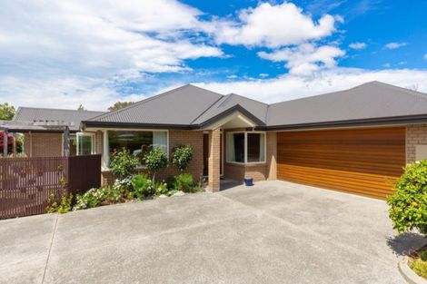 Photo of property in 58 Mclauchlan Street, Springlands, Blenheim, 7201